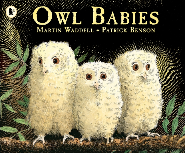 Image result for owl babies