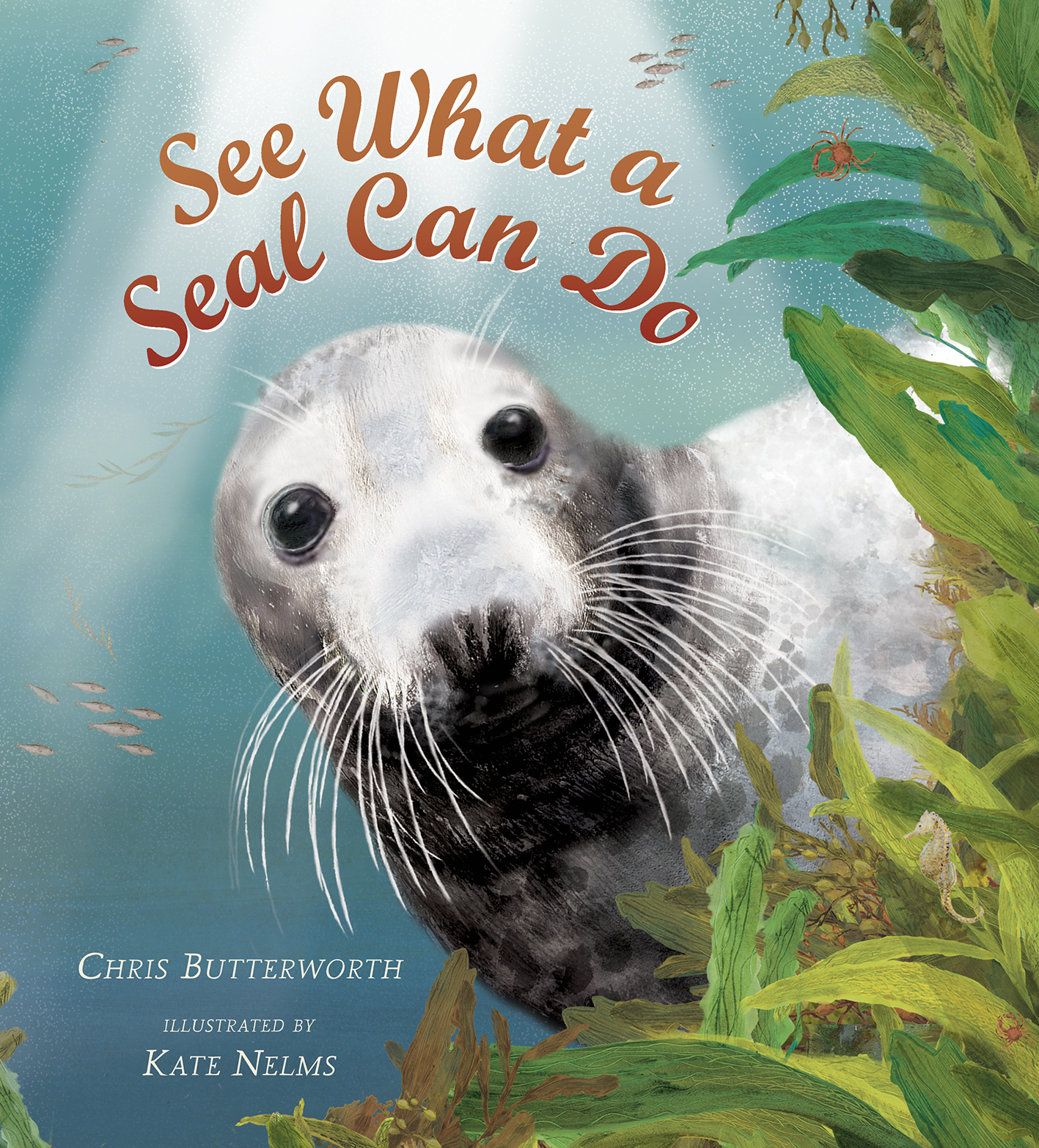 See-What-a-Seal-Can-Do