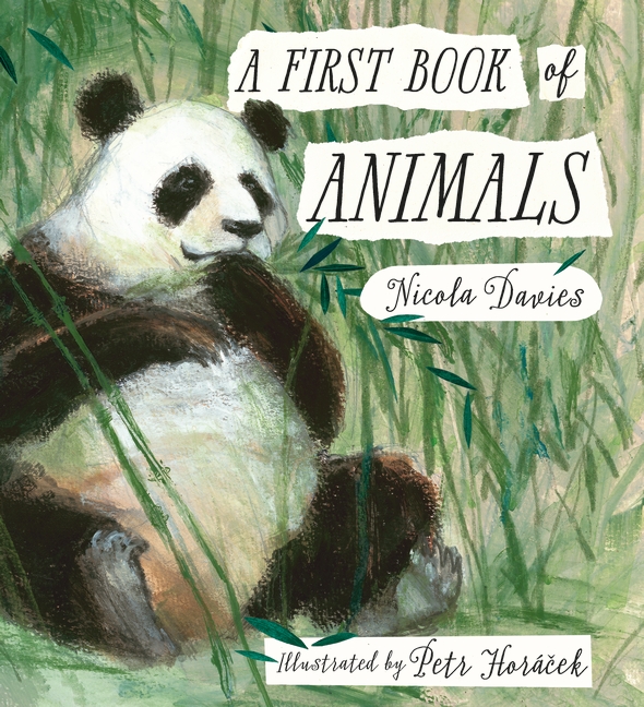 Image result for a first book of animals nicola davies