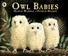 Owl-Babies