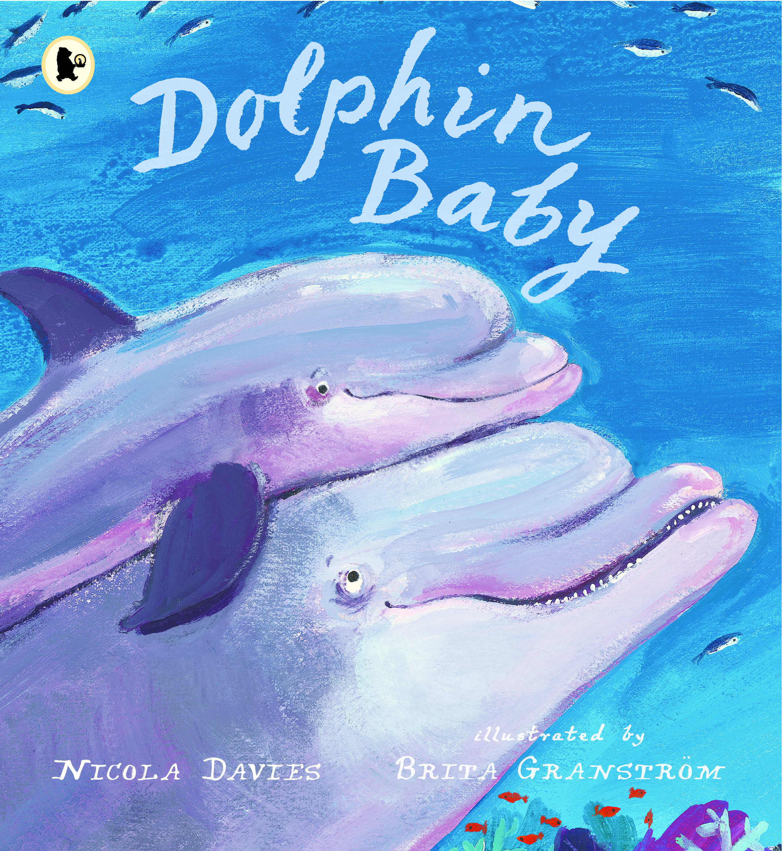 Dolphin-Baby