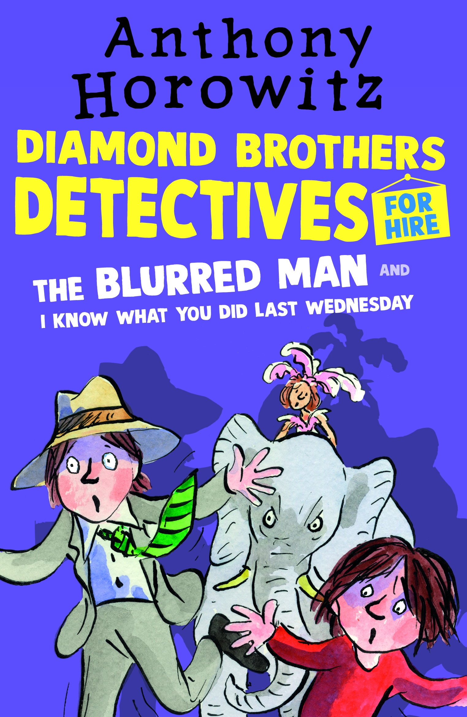 The-Diamond-Brothers-in-The-Blurred-Man-I-Know-What-You-Did-Last-Wednesday