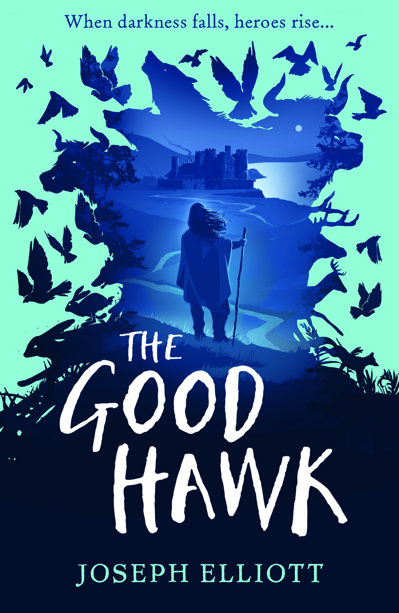 The-Good-Hawk-Shadow-Skye-Book-One