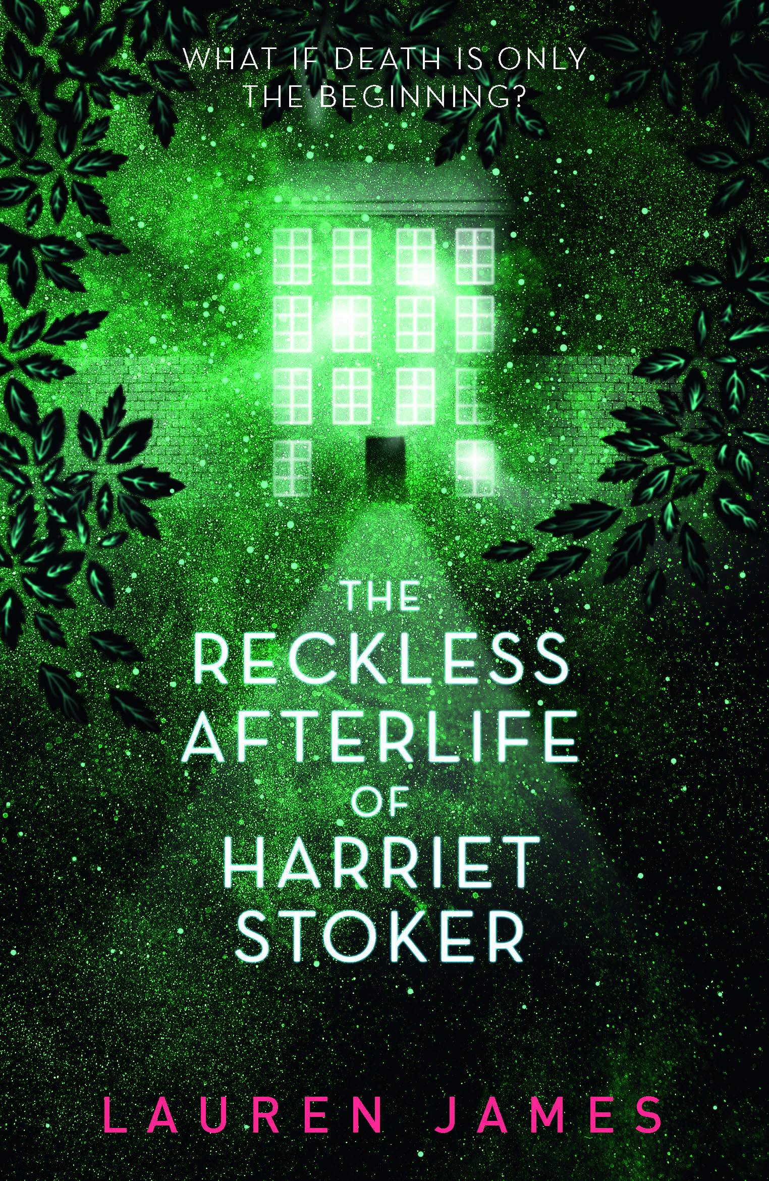 The-Reckless-Afterlife-of-Harriet-Stoker