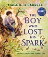 The-Boy-Who-Lost-His-Spark