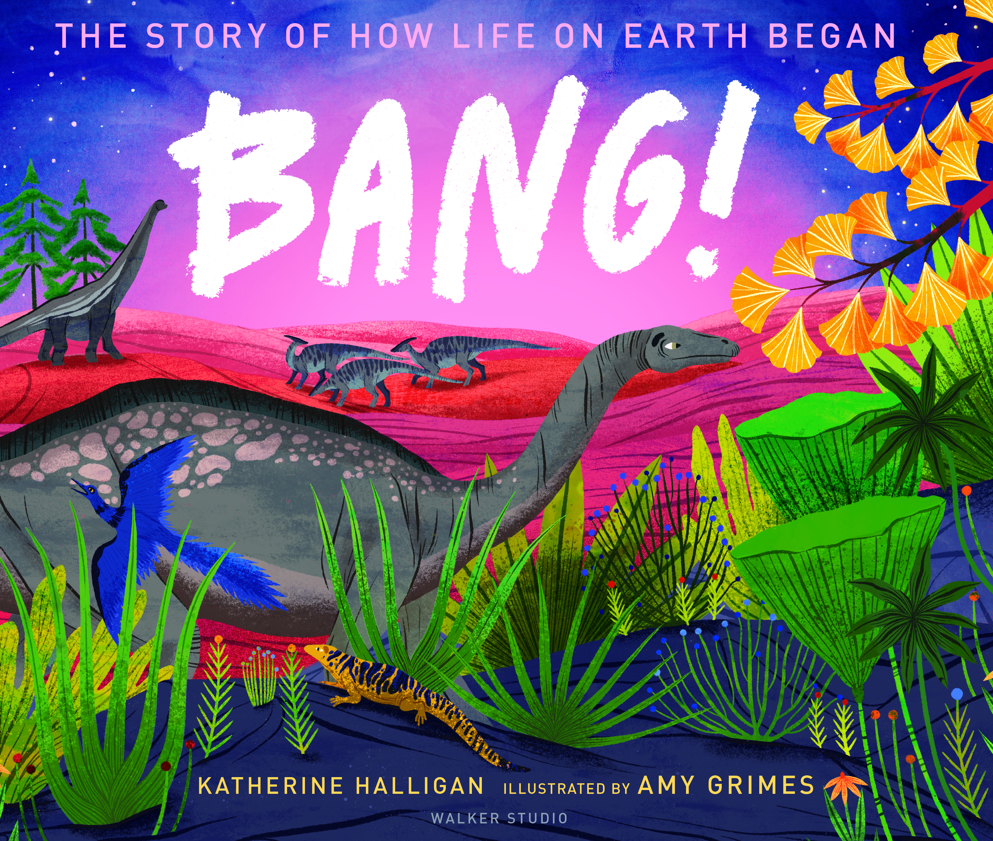 BANG-The-Story-of-How-Life-on-Earth-Began