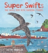 Super-Swifts-The-Small-Bird-With-Amazing-Powers