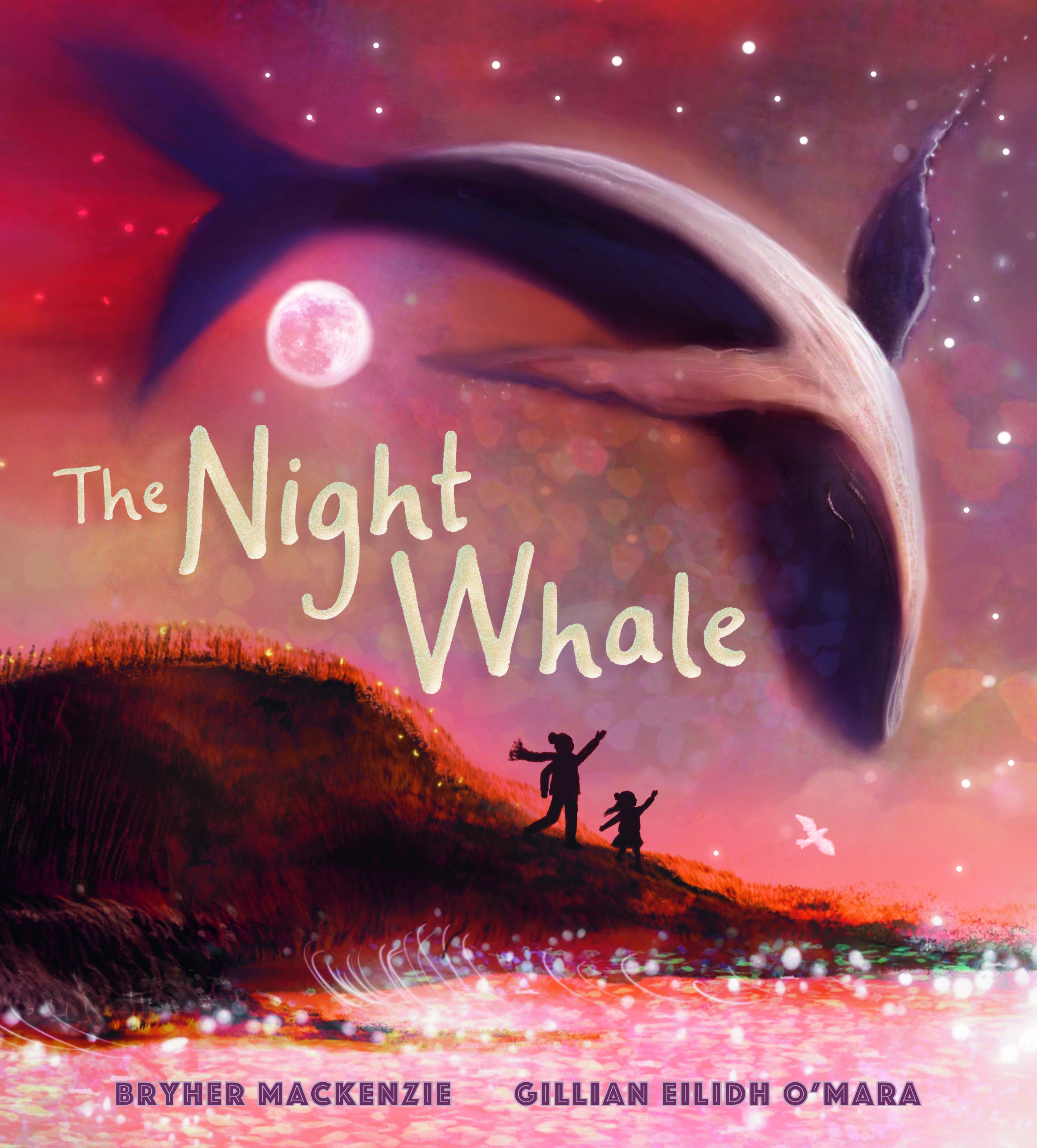 The-Night-Whale