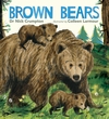 Brown-Bears