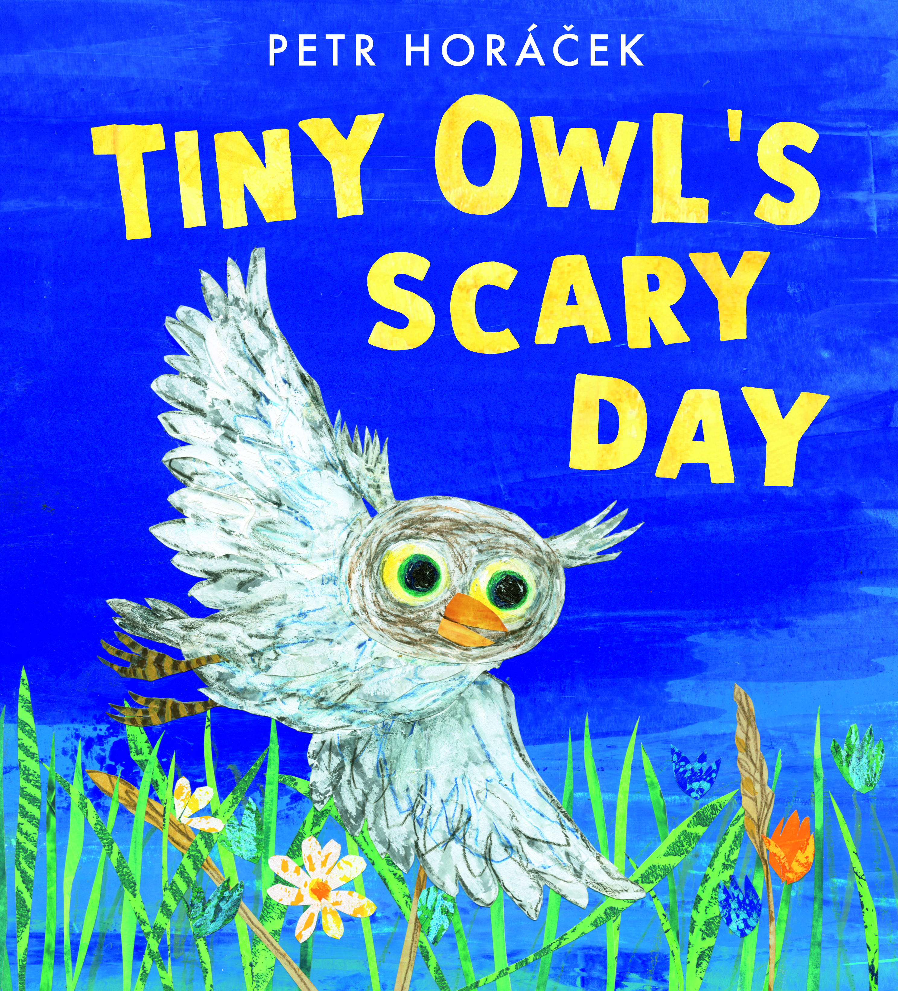 Tiny-Owl-s-Scary-Day