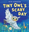 Tiny-Owl-s-Scary-Day