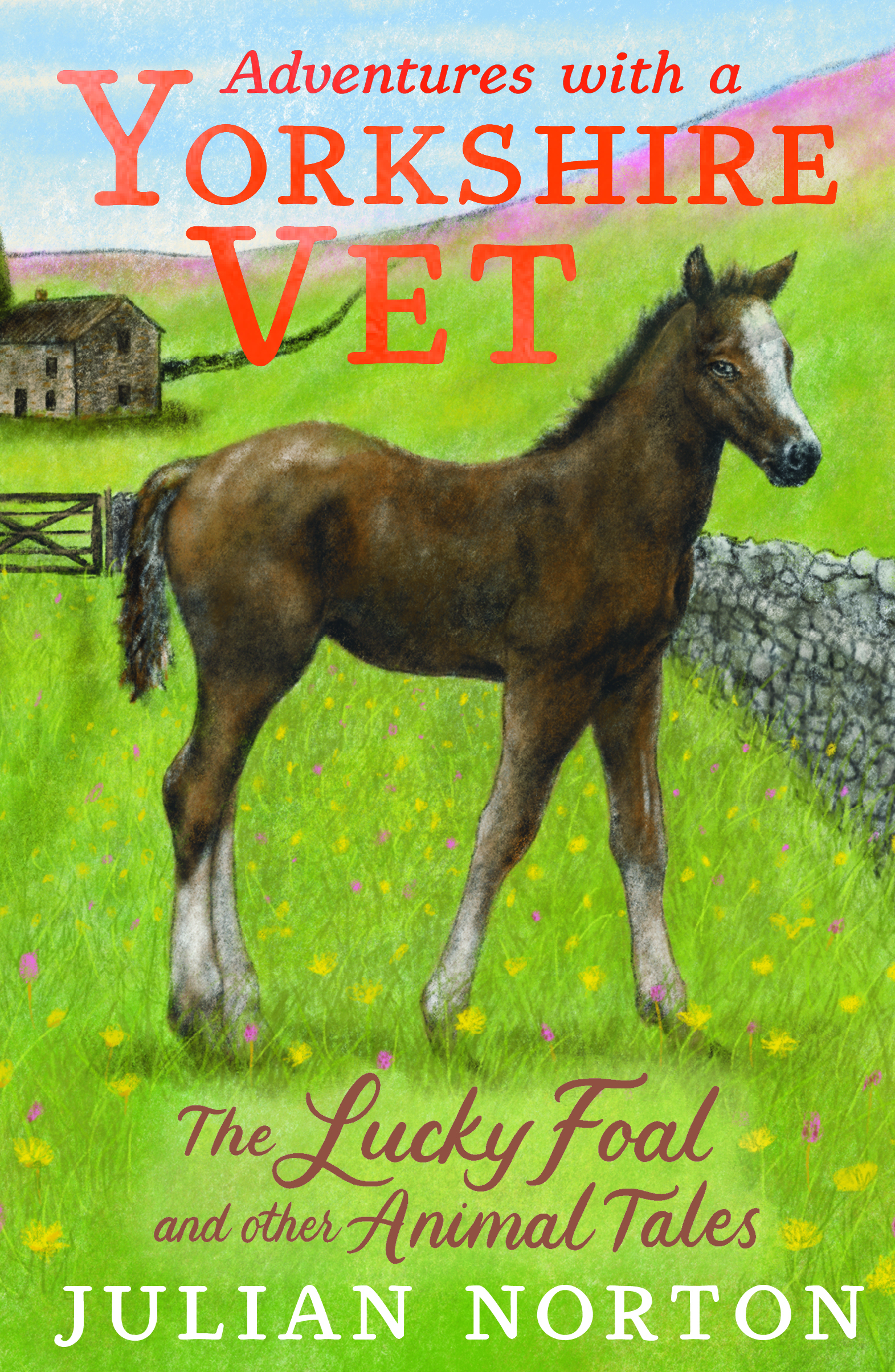 Adventures-with-a-Yorkshire-Vet-The-Lucky-Foal-and-Other-Animal-Tales