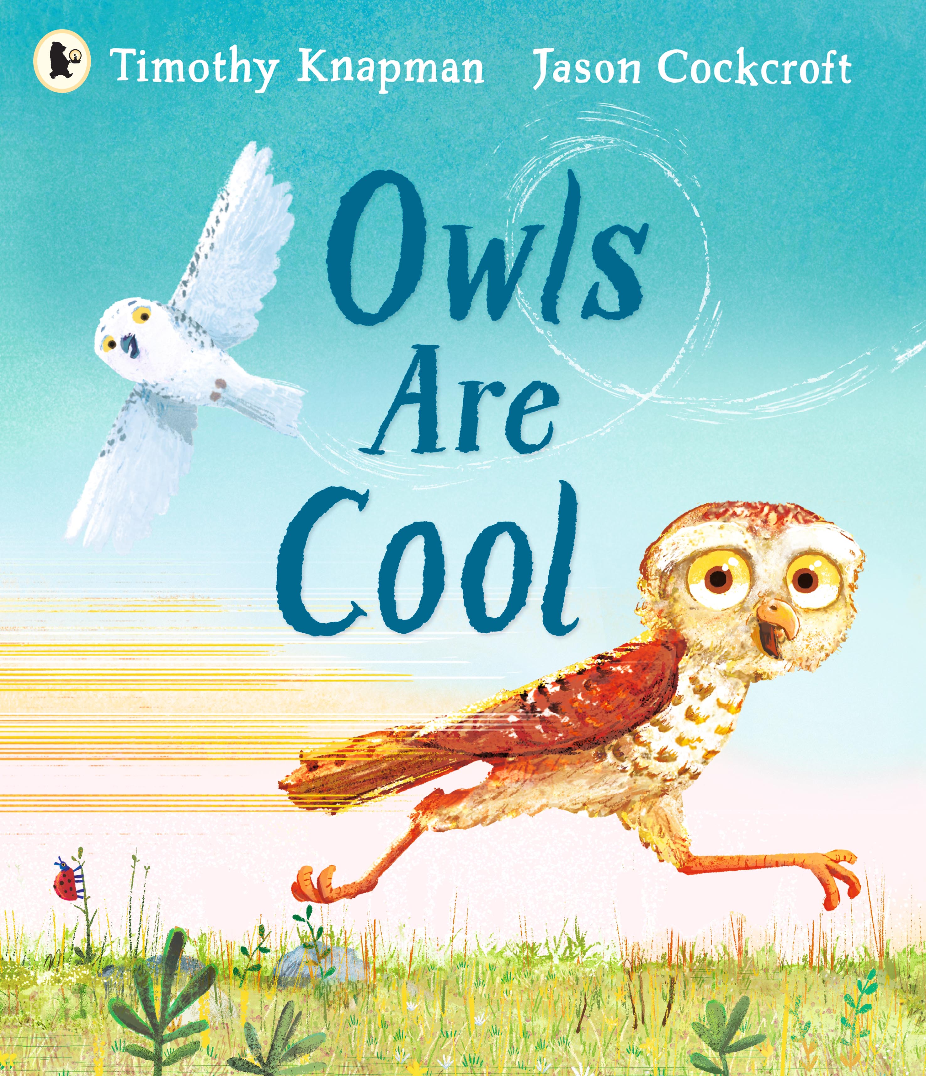 Owls-Are-Cool